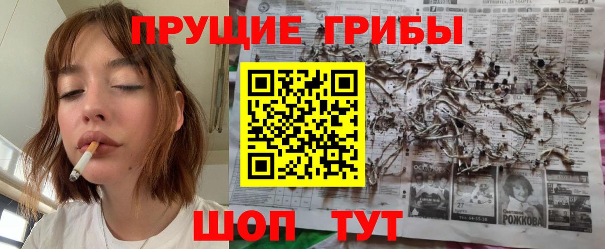 Галлюциногенные грибы мухоморы Моздок