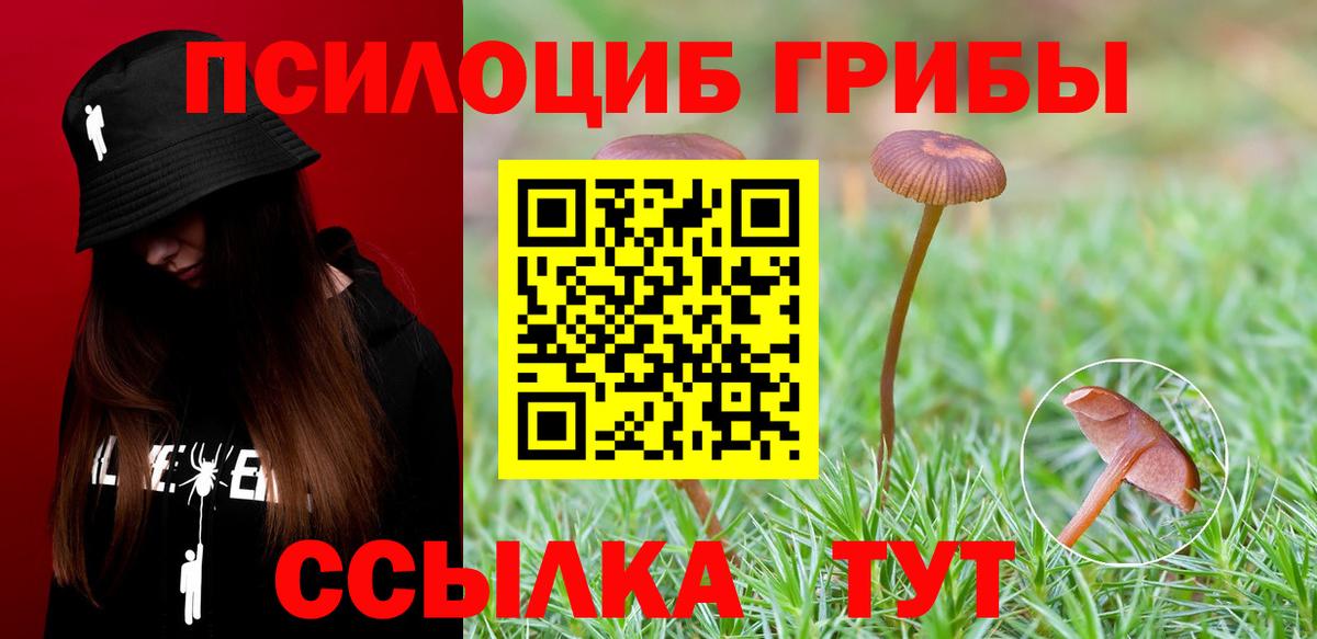 Бошки Шишки Моздок